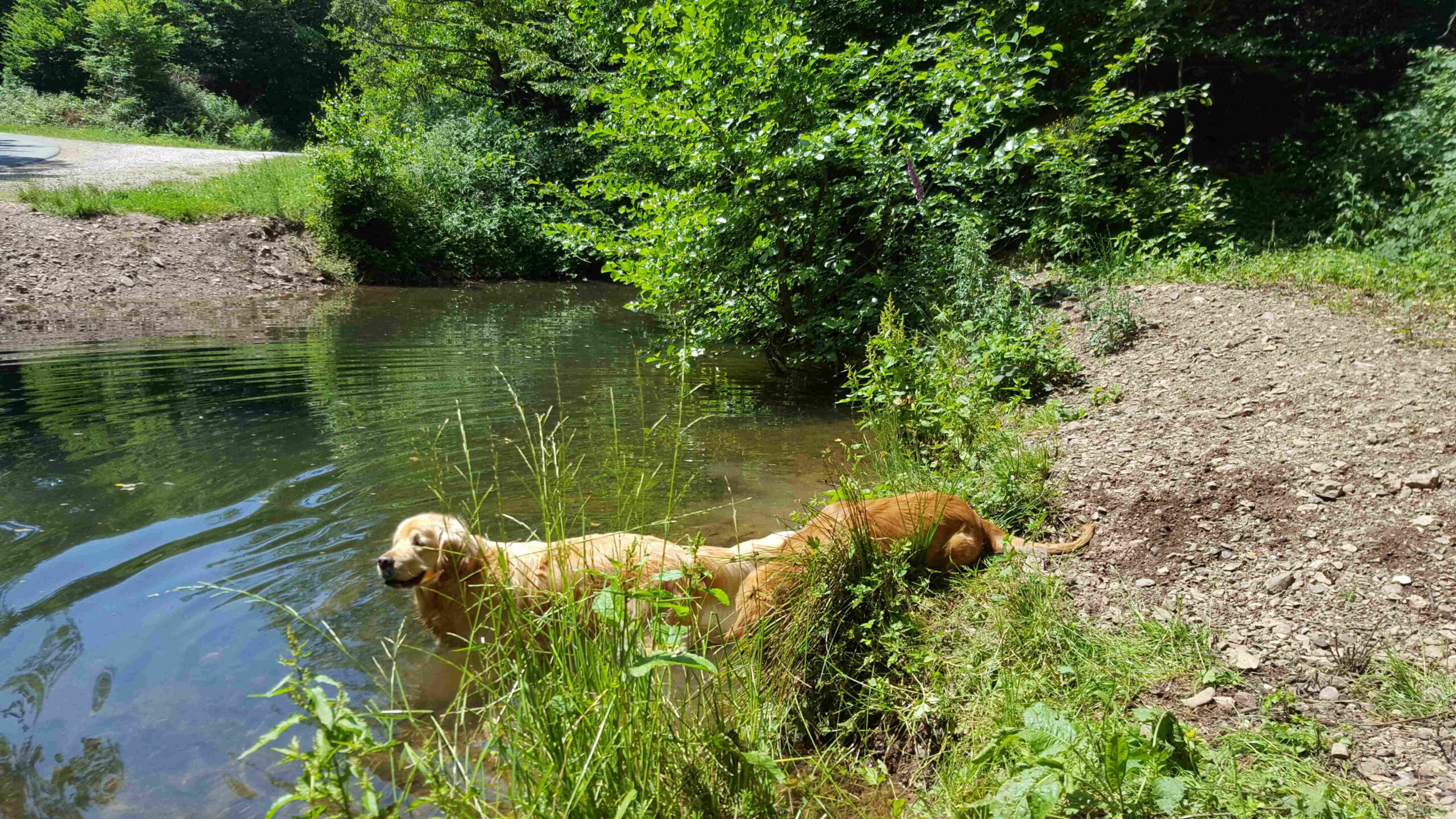 Waschen gehen